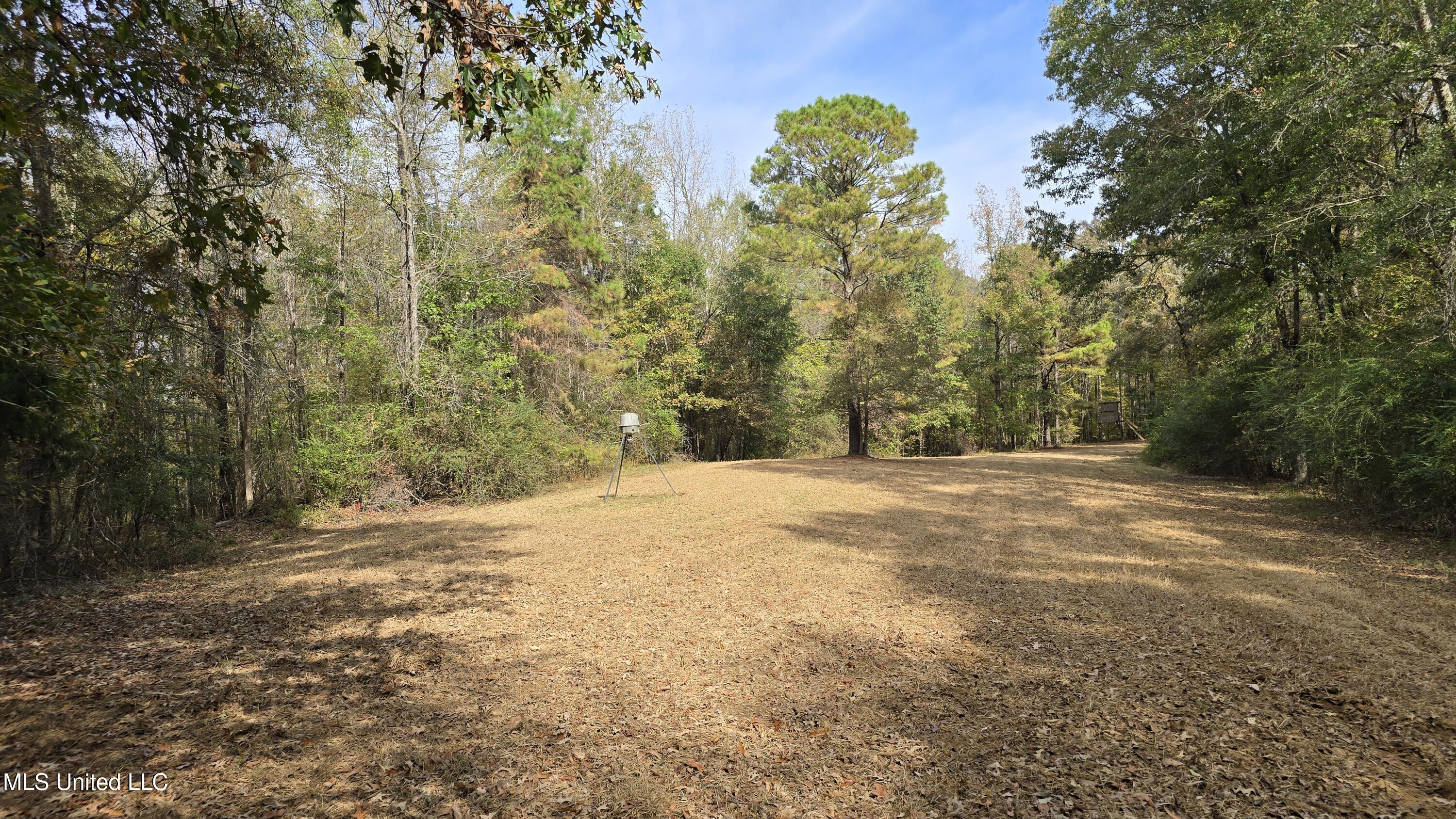 19757 Highway 17 Lexington, MS 39095 - Photo 2 of 59 20251024_110814