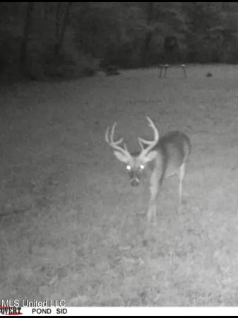 $395,000 | 19757 Highway 17, Lexington, MS 39095