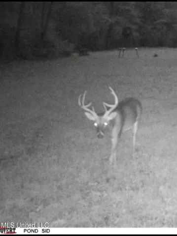 $395,000 | 19757 Highway 17, Lexington, MS 39095