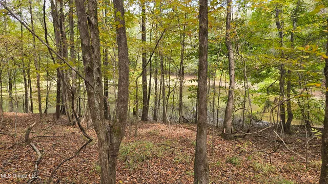 $395,000 | 19757 Highway 17, Lexington, MS 39095