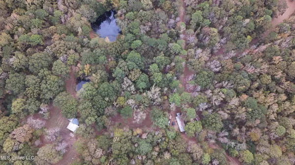 $395,000 | 19757 Highway 17, Lexington, MS 39095
