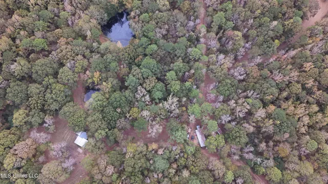 $395,000 | 19757 Highway 17, Lexington, MS 39095