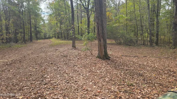 $395,000 | 19757 Highway 17, Lexington, MS 39095