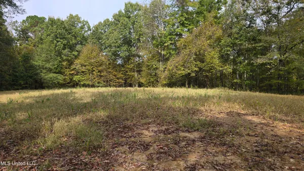 $395,000 | 19757 Highway 17, Lexington, MS 39095