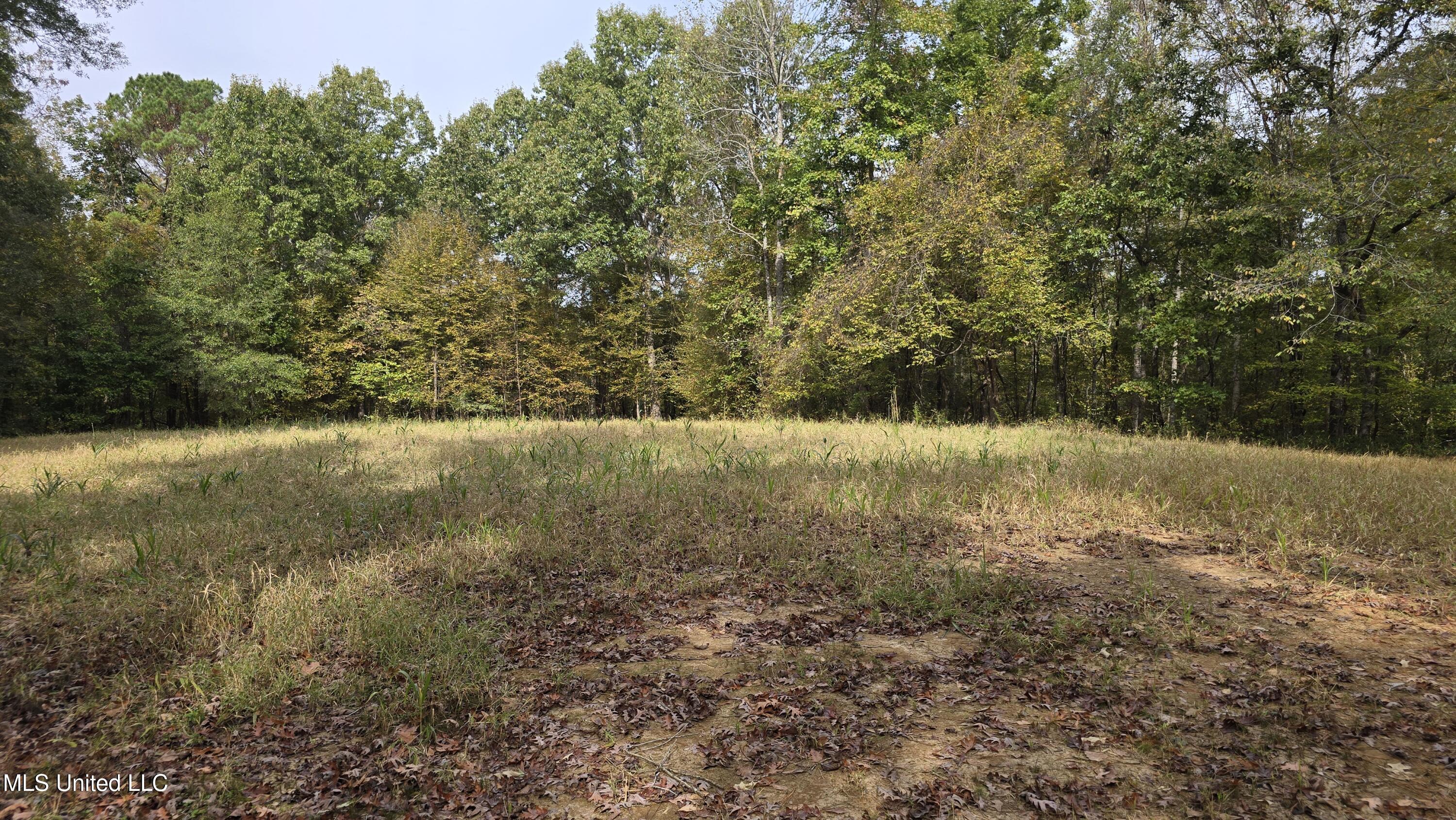 19757 Highway 17 Lexington, MS 39095 - Photo 37 of 59 20251024_113145