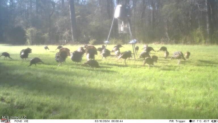 19757 Highway 17 Lexington, MS 39095 - Photo 4 of 59 IMG_0151