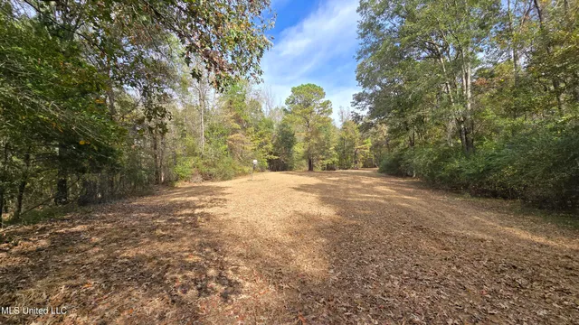 $395,000 | 19757 Highway 17, Lexington, MS 39095