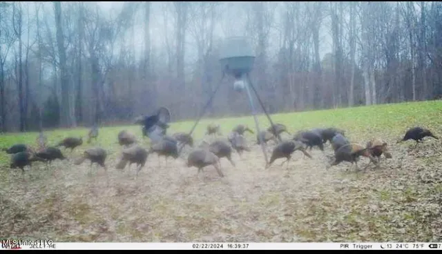 $395,000 | 19757 Highway 17, Lexington, MS 39095