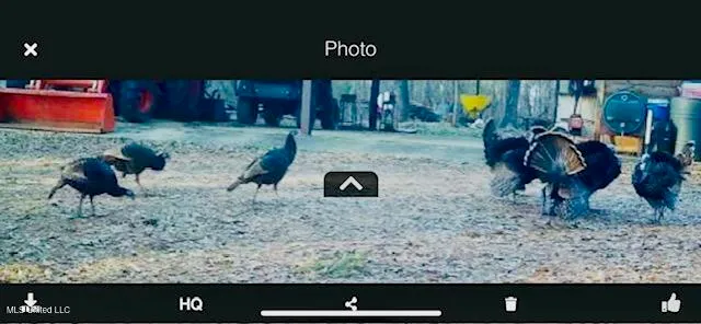 $395,000 | 19757 Highway 17, Lexington, MS 39095