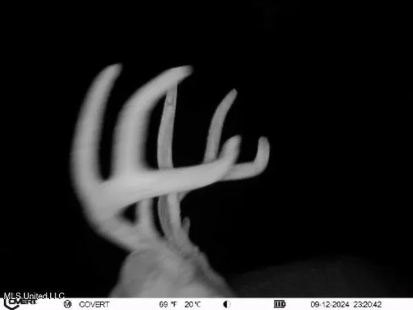 $395,000 | 19757 Highway 17, Lexington, MS 39095