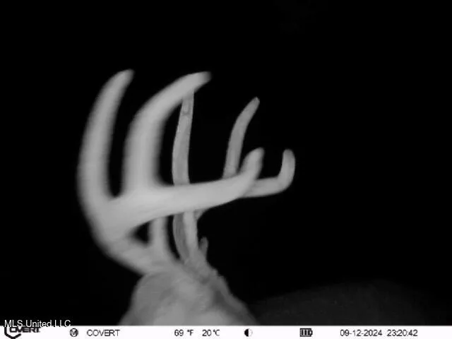 $395,000 | 19757 Highway 17, Lexington, MS 39095