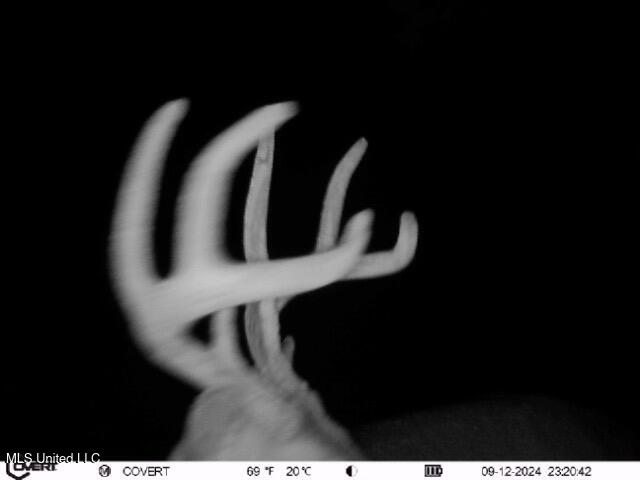 19757 Highway 17 Lexington, MS 39095 - Photo 46 of 59 IMG_7440