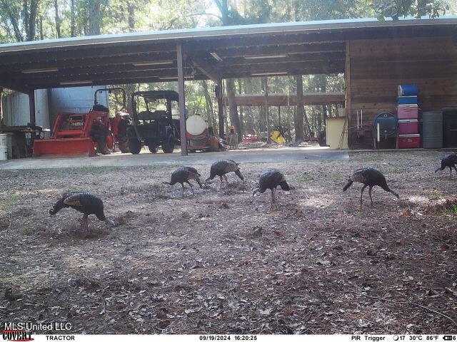 19757 Highway 17 Lexington, MS 39095 - Photo 47 of 59 IMG_7454