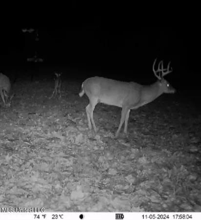 $395,000 | 19757 Highway 17, Lexington, MS 39095