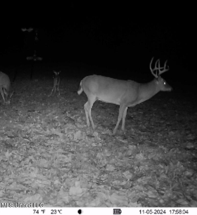 19757 Highway 17 Lexington, MS 39095 - Photo 48 of 59 IMG_7682