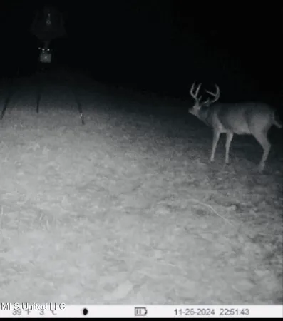 $395,000 | 19757 Highway 17, Lexington, MS 39095