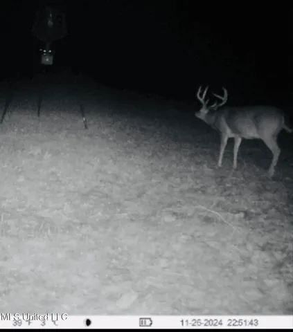 $395,000 | 19757 Highway 17, Lexington, MS 39095