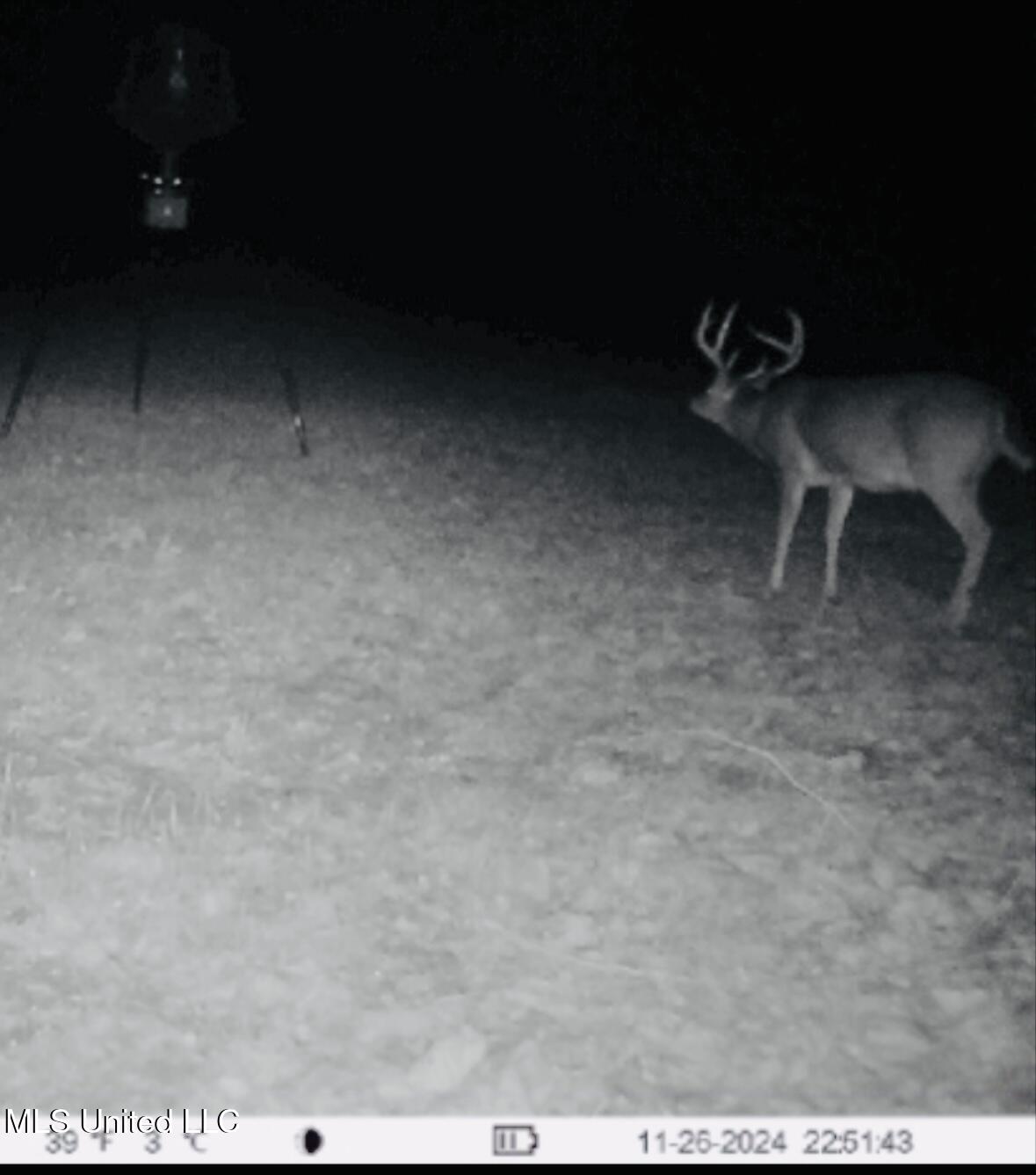 19757 Highway 17 Lexington, MS 39095 - Photo 49 of 59 IMG_7953