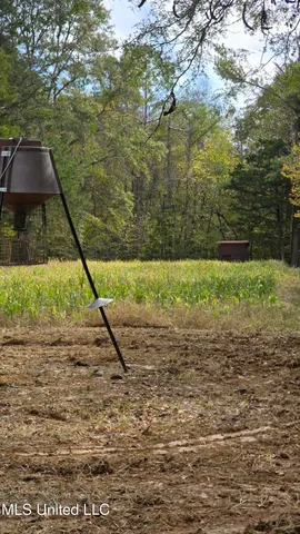 $395,000 | 19757 Highway 17, Lexington, MS 39095