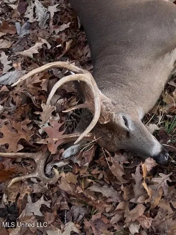 $395,000 | 19757 Highway 17, Lexington, MS 39095