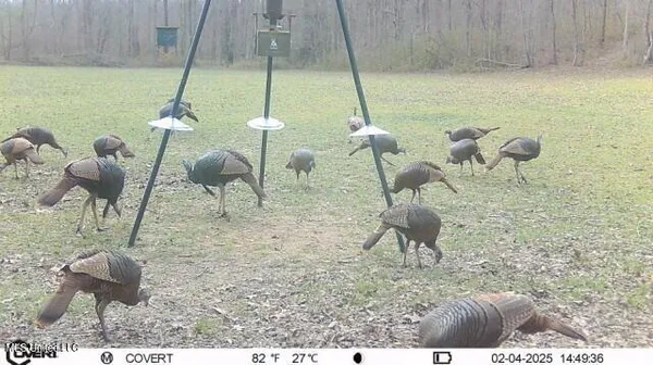 $395,000 | 19757 Highway 17, Lexington, MS 39095