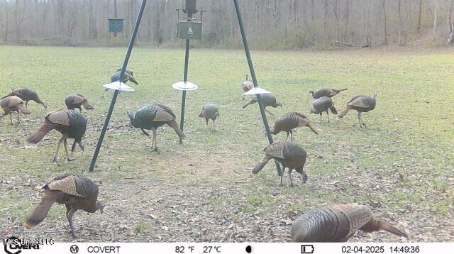 19757 Highway 17 Lexington, MS 39095 - Photo 53 of 59 IMG_8509