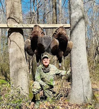 $395,000 | 19757 Highway 17, Lexington, MS 39095