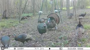 $395,000 | 19757 Highway 17, Lexington, MS 39095