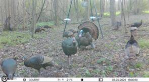 19757 Highway 17 Lexington, MS 39095 - Photo 56 of 59 IMG_8922