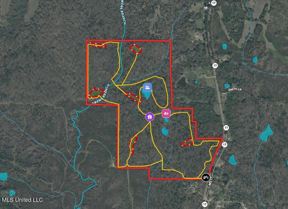 19757 Highway 17 Lexington, MS 39095 - Photo 58 of 59 Aerial Map