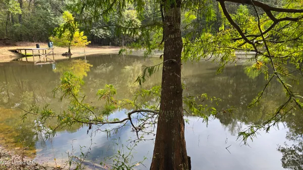 $395,000 | 19757 Highway 17, Lexington, MS 39095