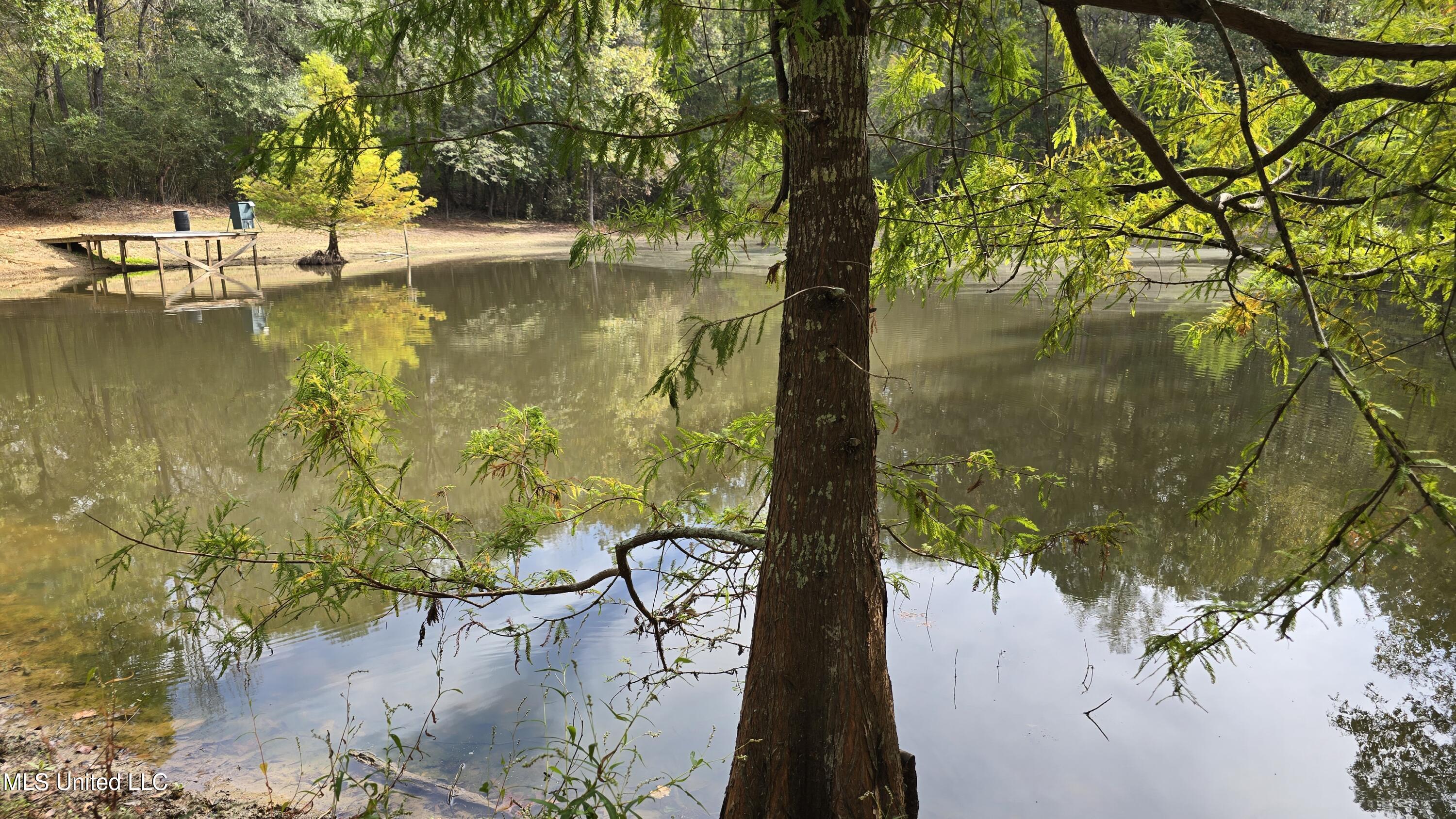 19757 Highway 17 Lexington, MS 39095 - Photo 7 of 59 20251024_112502