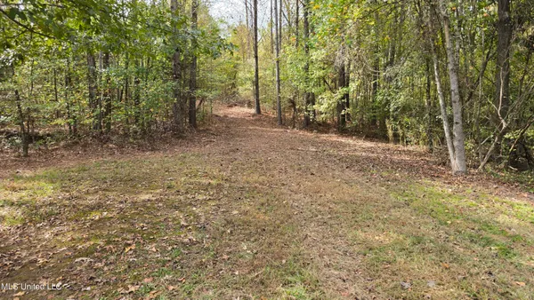 $395,000 | 19757 Highway 17, Lexington, MS 39095