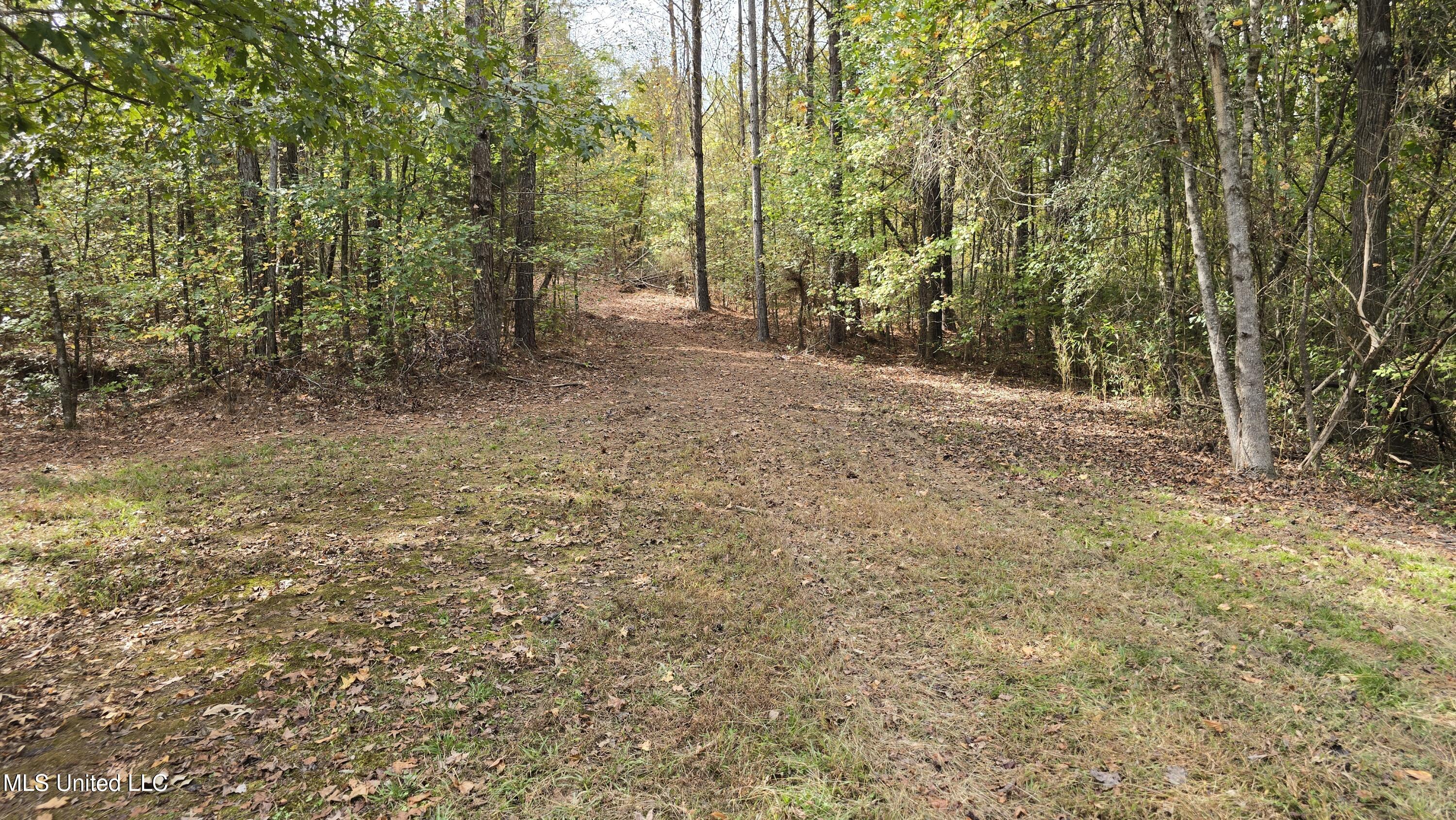 19757 Highway 17 Lexington, MS 39095 - Photo 8 of 59 20251024_112519