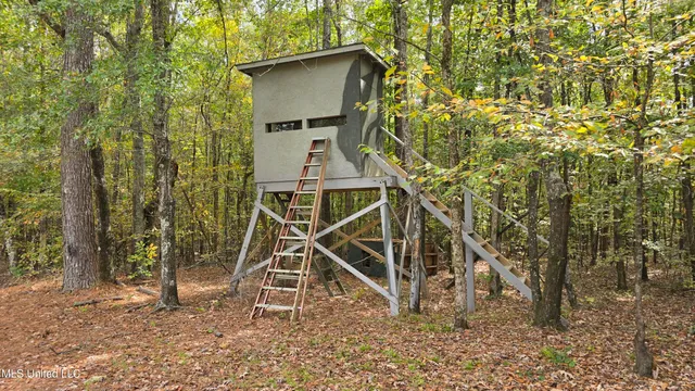 $395,000 | 19757 Highway 17, Lexington, MS 39095