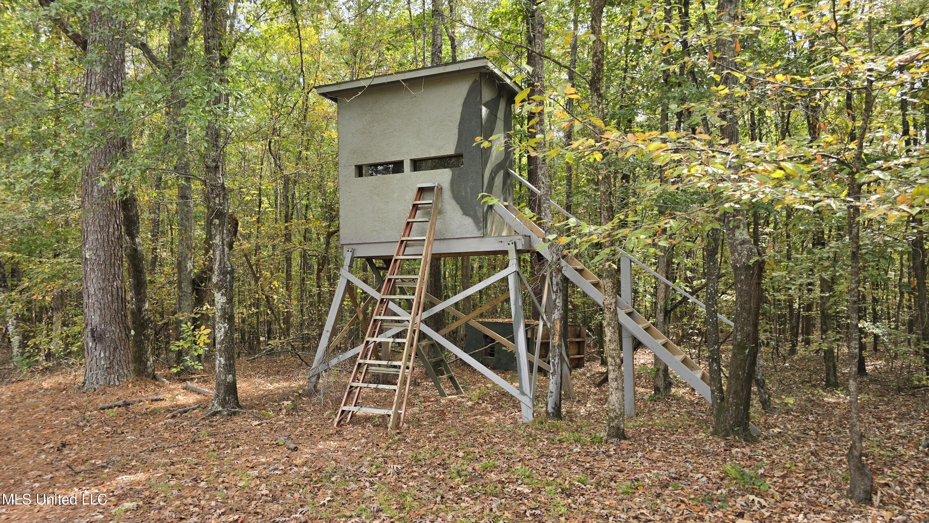 19757 Highway 17 Lexington, MS 39095 - Photo 9 of 59 20251024_113139