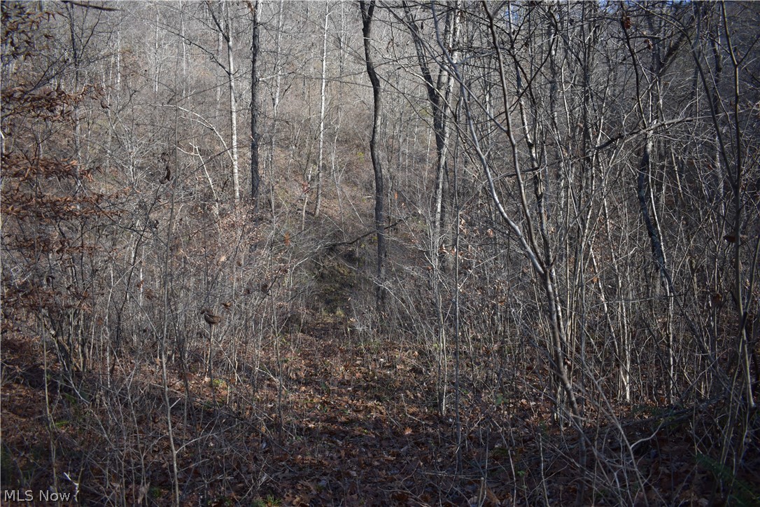 260 Rear State Route Lower Salem, OH 45745 - Photo 22 of 32 Gallery Image 22