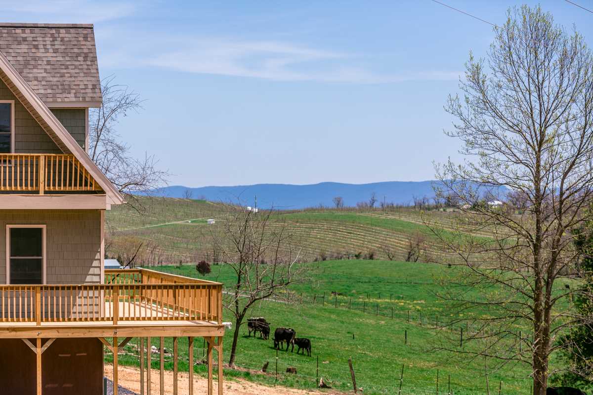 7414 Vetters Road Timberville, VA 22853 - Photo 39 of 46 Gallery Image 39