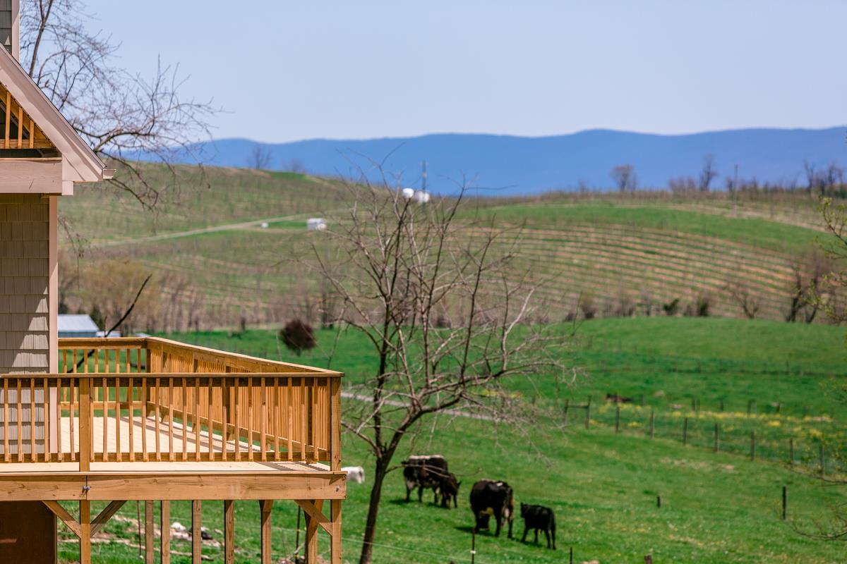 7414 Vetters Road Timberville, VA 22853 - Photo 40 of 46 Gallery Image 40