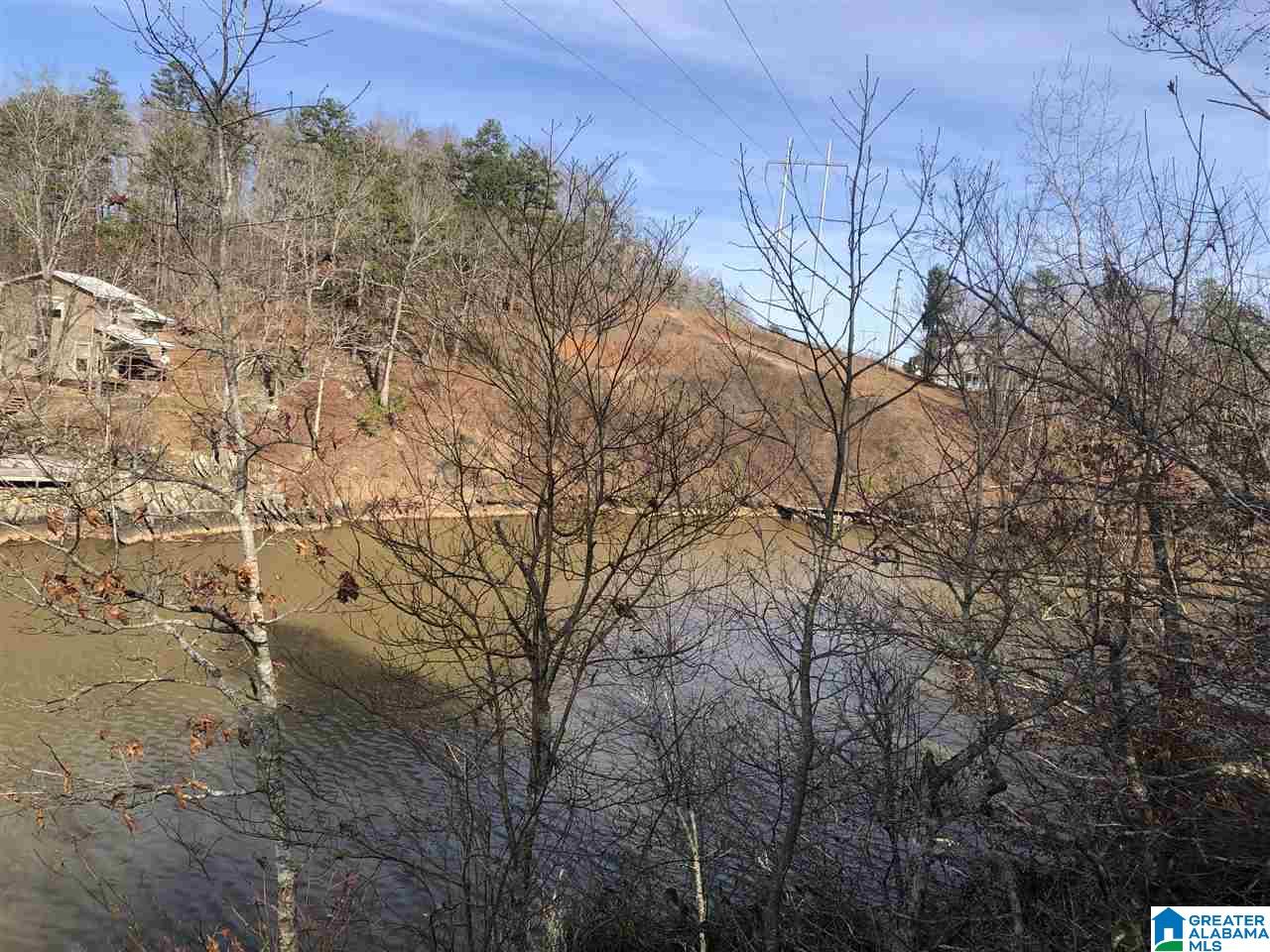 Lot 4 Point View, Unit LOT 4 Wedowee, AL 36278 - Photo 2 of 8