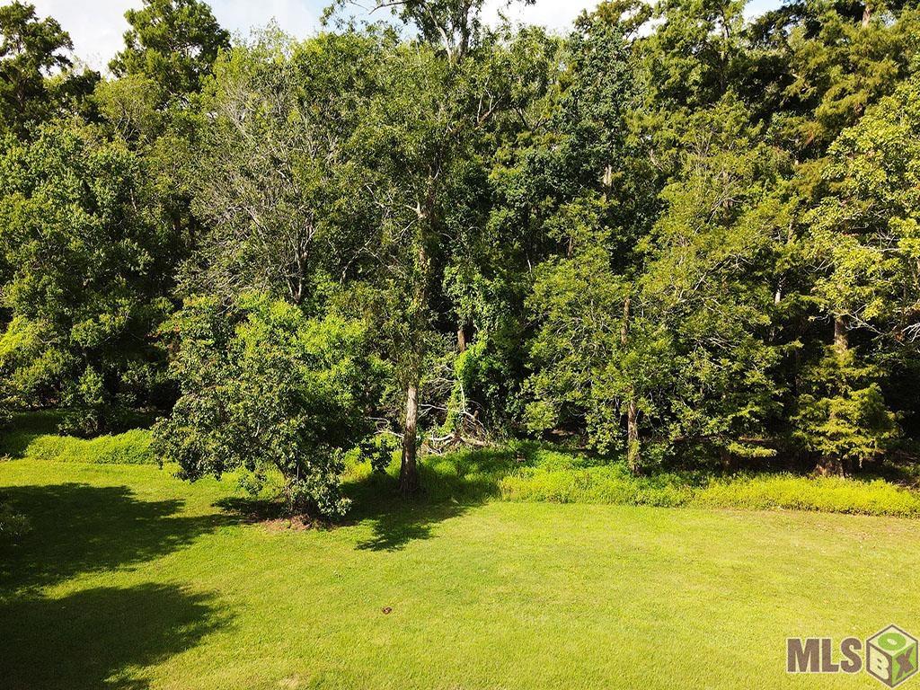 16530 Autumn Ridge Avenue Baton Rouge, LA 70810 - Photo 3 of 5