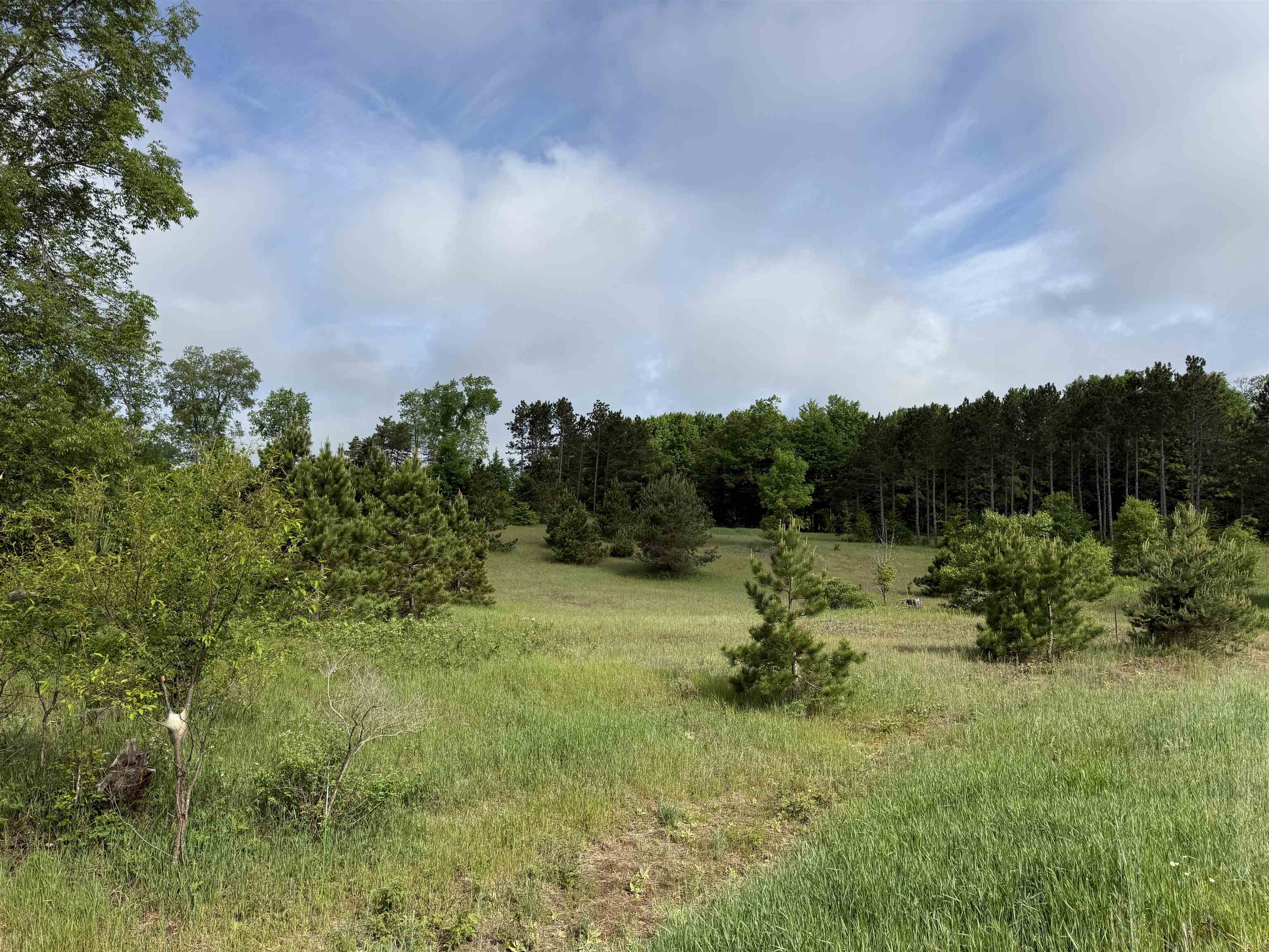 A4 East Kasson Road Traverse City, MI 49684 - Photo 6 of 12