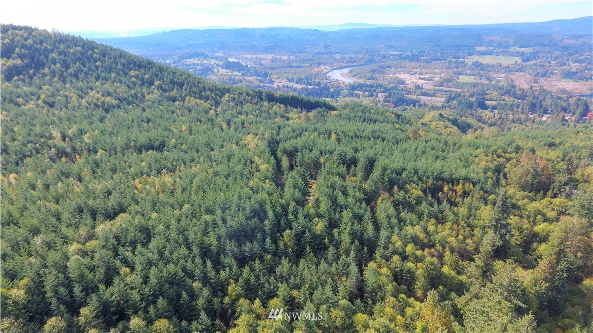 -lot R Lot R Ridgewood Castle Rock, WA 98611 - Photo 1 of 15