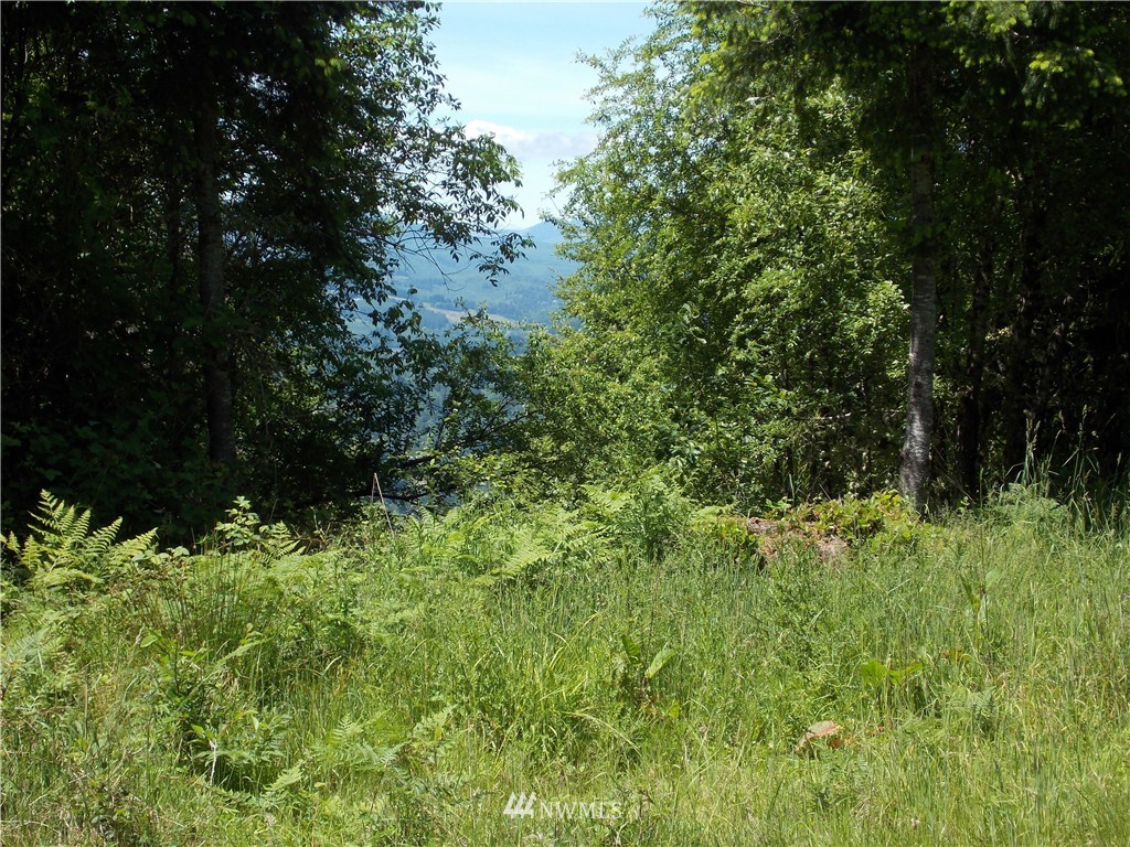 -lot R Lot R Ridgewood Castle Rock, WA 98611 - Photo 12 of 15