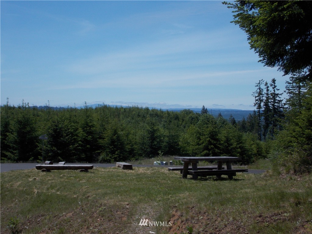 -lot R Lot R Ridgewood Castle Rock, WA 98611 - Photo 13 of 15