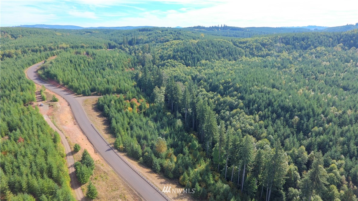 -lot R Lot R Ridgewood Castle Rock, WA 98611 - Photo 4 of 15