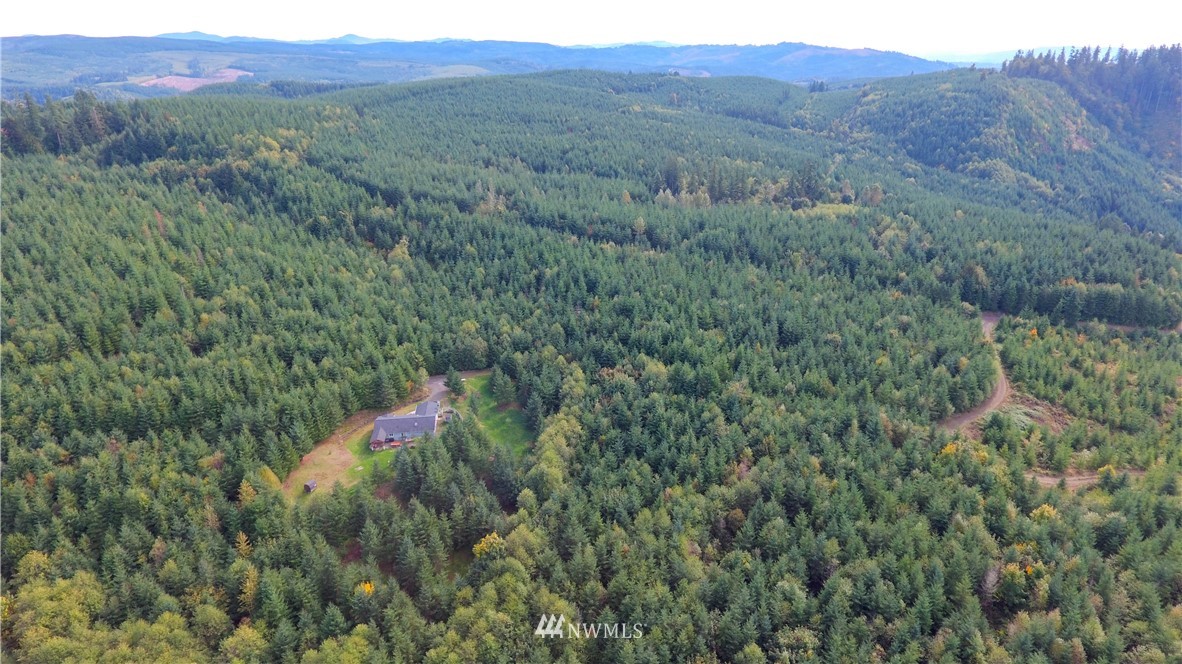 -lot R Lot R Ridgewood Castle Rock, WA 98611 - Photo 6 of 15