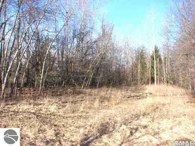 8920 South Alger Road Perrinton, MI 48871 - Photo 12 of 25 1773655-11.JPG