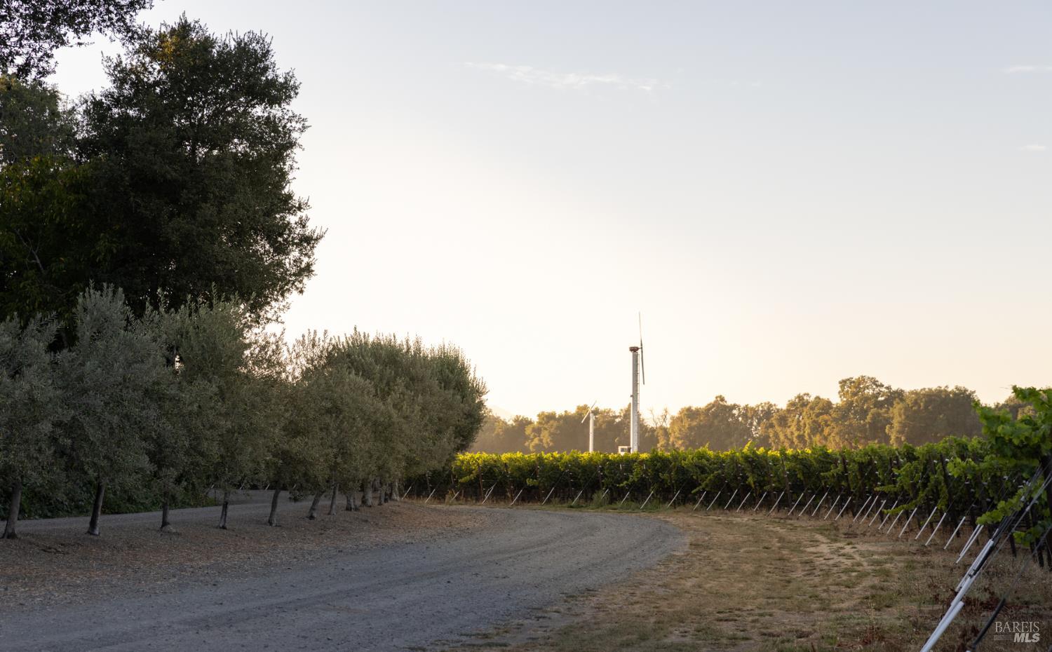 0 Ragatz Lane Napa, CA 94558 - Photo 18 of 27 Gallery Image 18