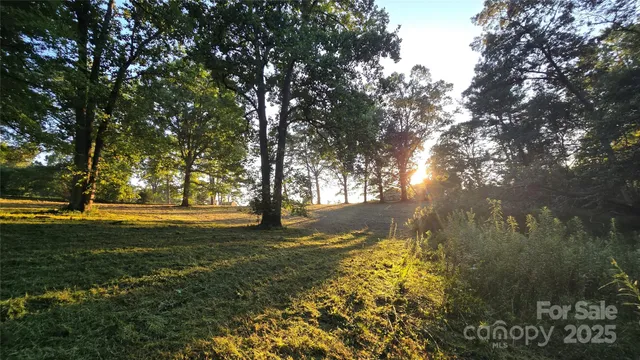 a view of a yard with a tree